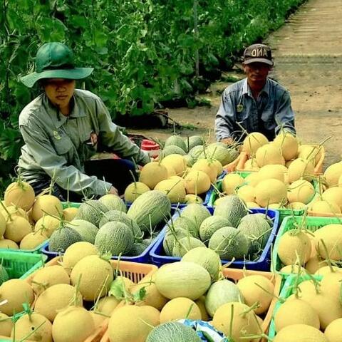 Bình Dương: Huyện Phú Giáo có thêm 12 sản phẩm OCOP 3 sao