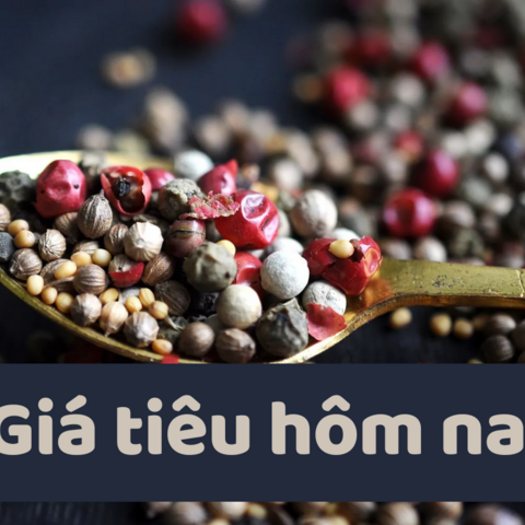 Giá tiêu hôm nay 1/7/2025: trong nước lấy lại đà tăng cao