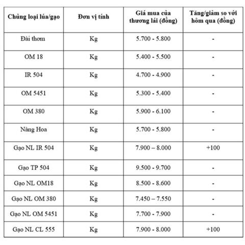 Giá lúa gạo hôm nay ngày 16/9: Gạo xuất khẩu tăng, lúa chững giá