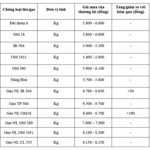 Giá lúa gạo hôm nay ngày 20/10: Gạo nguyên liệu xuất khẩu tăng