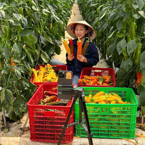 Thảo Mola: Hành trình từ phòng lab đến 'vựa' nông sản trên TikTok Shop