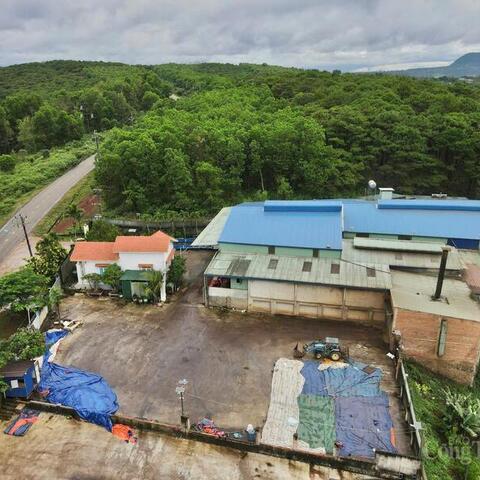 Thấy gì từ việc sản xuất hàng giả giữa thủ phủ cà phê thật?