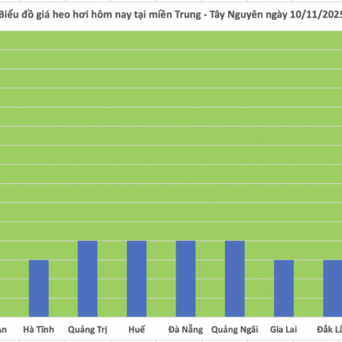 Giá heo hơi hôm nay 10/11/2025: Phiên đầu tuần lặng sóng