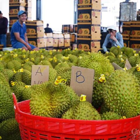 Truy xuất nguồn gốc đưa nông sản Đắk Lắk vươn ra thế giới - Bài 1: Minh bạch xuất xứ từ câu chuyện sầu riêng