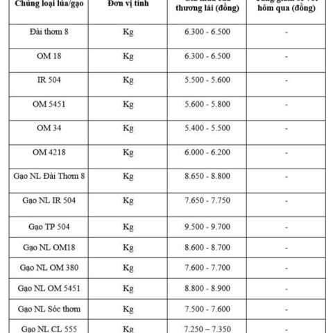 Giá lúa gạo hôm nay ngày 22/1/2026: Thị trường trầm lắng