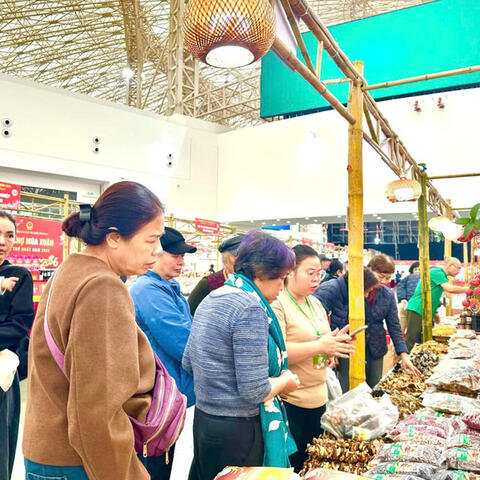 Đưa sản phẩm vùng cao Lai Châu vào mạch thị trường lớn