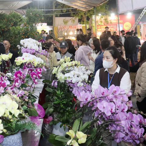 Hàng Việt lan tỏa về ngoại thành, giữ ổn định thị trường tết Bính Ngọ