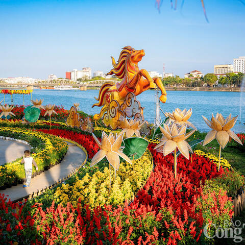 Thành phố Huế rực rỡ sắc xuân Bính Ngọ