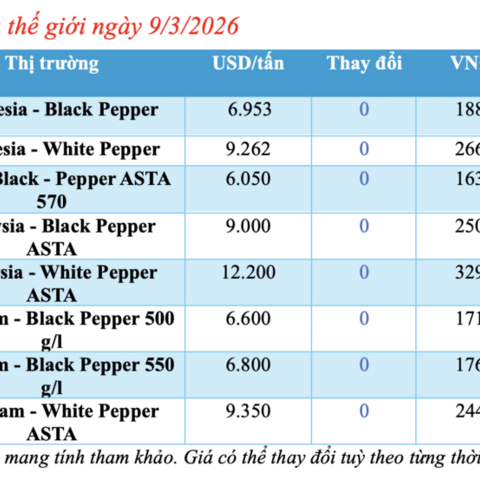 Giá tiêu hôm nay 9/3/2026: Giữ đà bình ổn