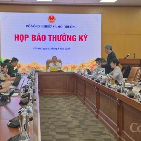 Tính toán lại thị trường xuất khẩu nông sản trước rủi ro từ Trung Đông