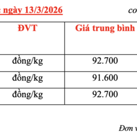Giá cà phê hôm nay 13/3/2026: Trong nước sụt giảm sâu
