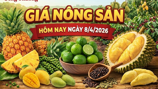 Giá nông sản hôm nay 8/4: Giá chanh tăng mạnh, cà phê thế giới giảm