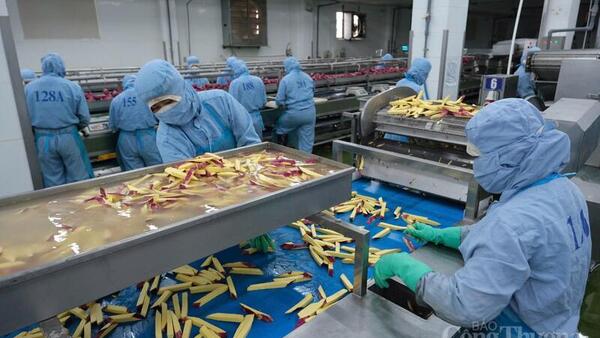 Lâm Đồng: Dư địa lớn nhưng thiếu ‘cú hích’ đầu tư chế biến sâu