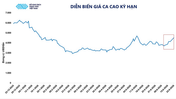 Giá ca cao tăng vọt hơn 9% trước rủi ro nguồn cung