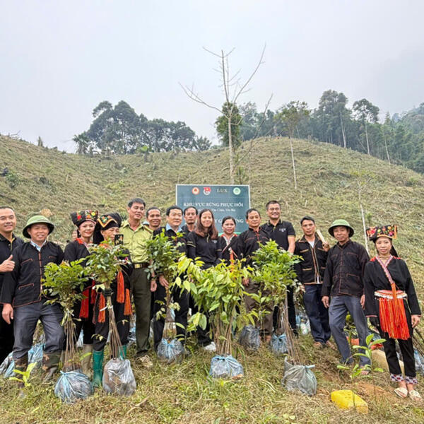 Sùng A Cải: Từ trồng rừng đến tạo sinh kế cho người dân vùng cao