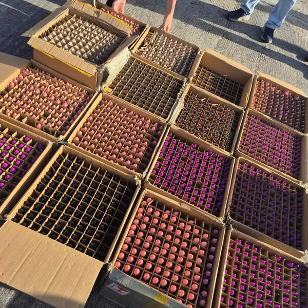 Buôn lậu, gian lận thương mại có chiều hướng gia tăng trên các tuyến