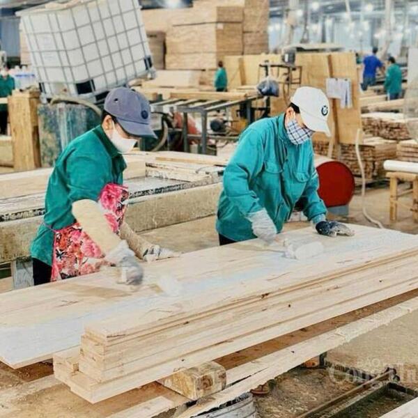 Ngành gỗ Gia Lai: Vượt thách thức, tăng trưởng ấn tượng