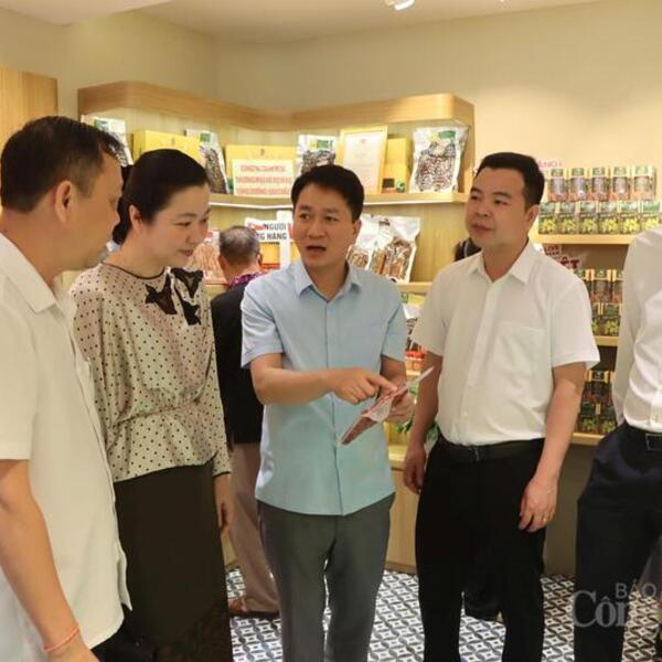 'Sức sống hàng Việt' số 6: Đưa nông sản Lai Châu đến Thủ đô