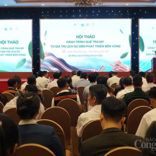 Đà Nẵng: Liên kết chuỗi, nâng giá trị thương hiệu quế Trà My