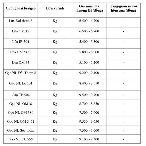 Giá lúa gạo hôm nay ngày 21/5/2026: Thị trường 'lặng sóng'