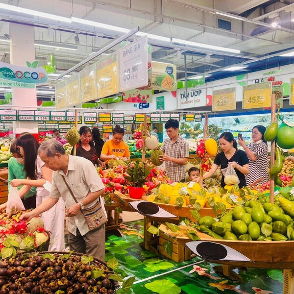 Đồng Tháp đặt mục tiêu 100% vùng chuyên canh rau, quả có mã số vùng trồng