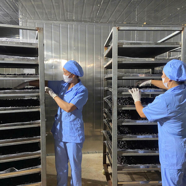 Khuyến công Sơn La hỗ trợ doanh nghiệp nâng cao giá trị sản phẩm