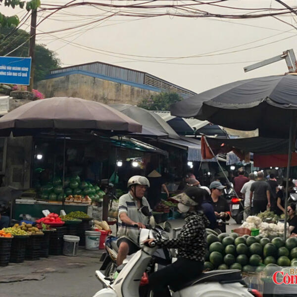 Ban Quản lý chợ đầu mối phía Nam khẳng định không thu phí vào chợ