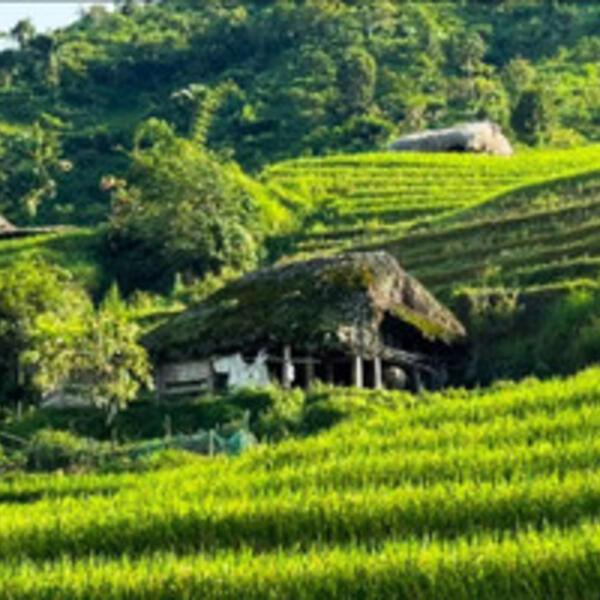 Điểm tựa để đồng bào vùng biên vươn lên thoát nghèo