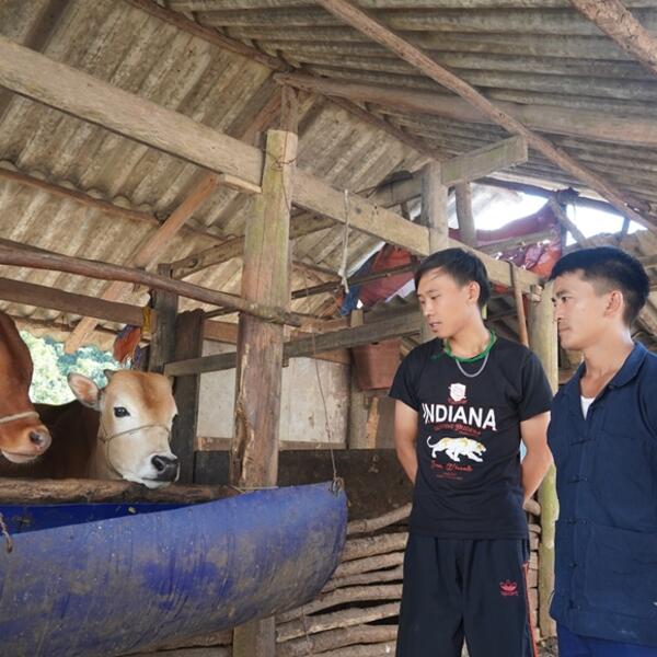 Thò Mí Xá – Bí thư người Mông gieo niềm tin trên miền đá núi
