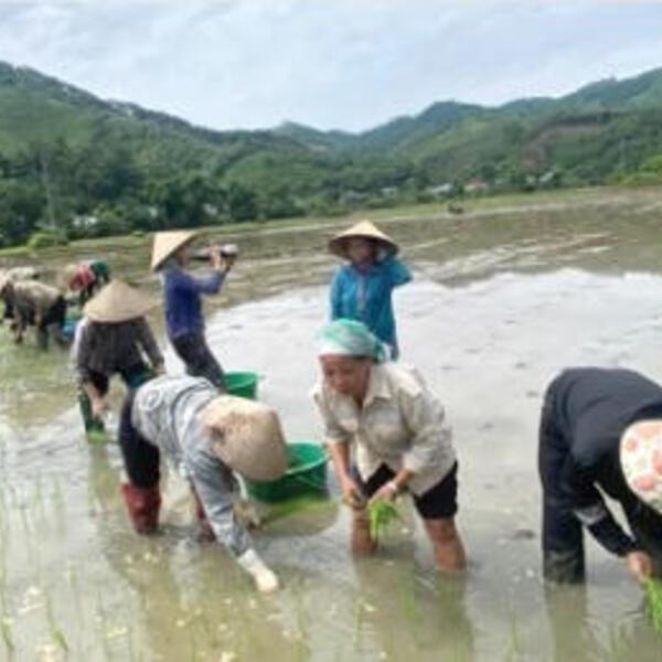 Xã Bảo Hà (Lào Cai) tập trung nguồn lực thực hiện mục tiêu giảm nghèo bền vững