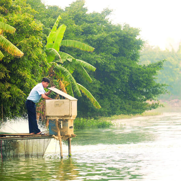 Bắc Ninh: Xã Cẩm Lý hướng tới giảm nghèo bền vững gắn với phát triển sinh kế và bảo đảm an sinh xã hội