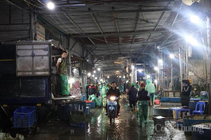 Chợ cá lớn nhất miền Bắc nhộn nhịp trong ngày tiễn ông Công ông Táo