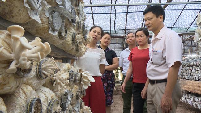Vốn ưu đãi đến tay hơn 6,4 triệu hộ nghèo - Ảnh 1.
