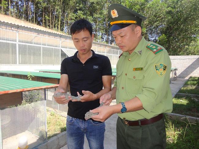Anh Ngọc Văn Viên (bìa trái, thôn Thượng, xã Long Sơn, huyện Sơn Động) trao đổi kinh nghiệm gây nuôi sinh sản loài Tắc kè với Kiểm lâm Bắc Giang