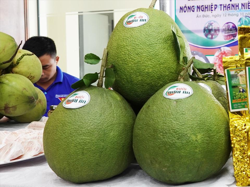 Toàn huyện Hoài Ân có khoảng hơn 300 ha bưởi da xanh, trong đó có 160 ha đã cho quả.