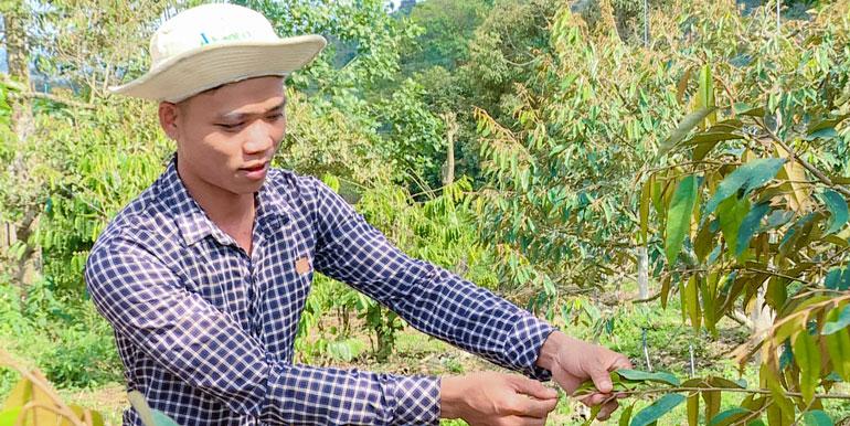 Phạm Văn Ngọc bên vườn sầu riêng tự tưới