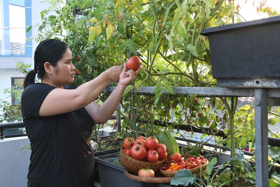 Chính niềm vui trồng cây giúp chị tránh được stress sau sinh và thấy yêu đời hơn mỗi ngày - Ảnh: HOA NỮ