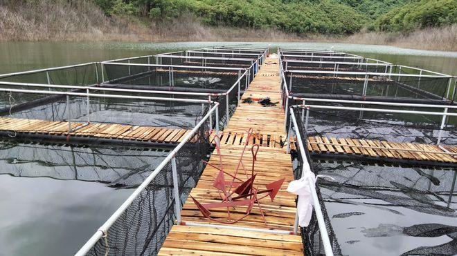 Những chiếc lồng bè bằng nhựa HDPE dùng để nuôi cá Ảnh: K.Hoan