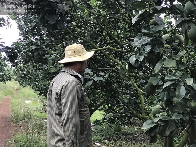 Tỷ phú nông dân Hùng Dũng chia sẻ: “Tôi gắn bó với cây mía cả mấy chục năm nhưng lợi nhuận ngày càng giảm nên quyết định học hỏi tìm tòi để chuyển đổi cây trồng vật nuôi theo hướng tốt nhất. Thông qua Hội Nông dân, thông tin trên mạng internet và những chuyến học tham quan hỏi kinh nghiệm thực tế từ những mô hình chăn nuôi, trồng trọt, tôi đã áp dụng thành công mô hình đa canh...