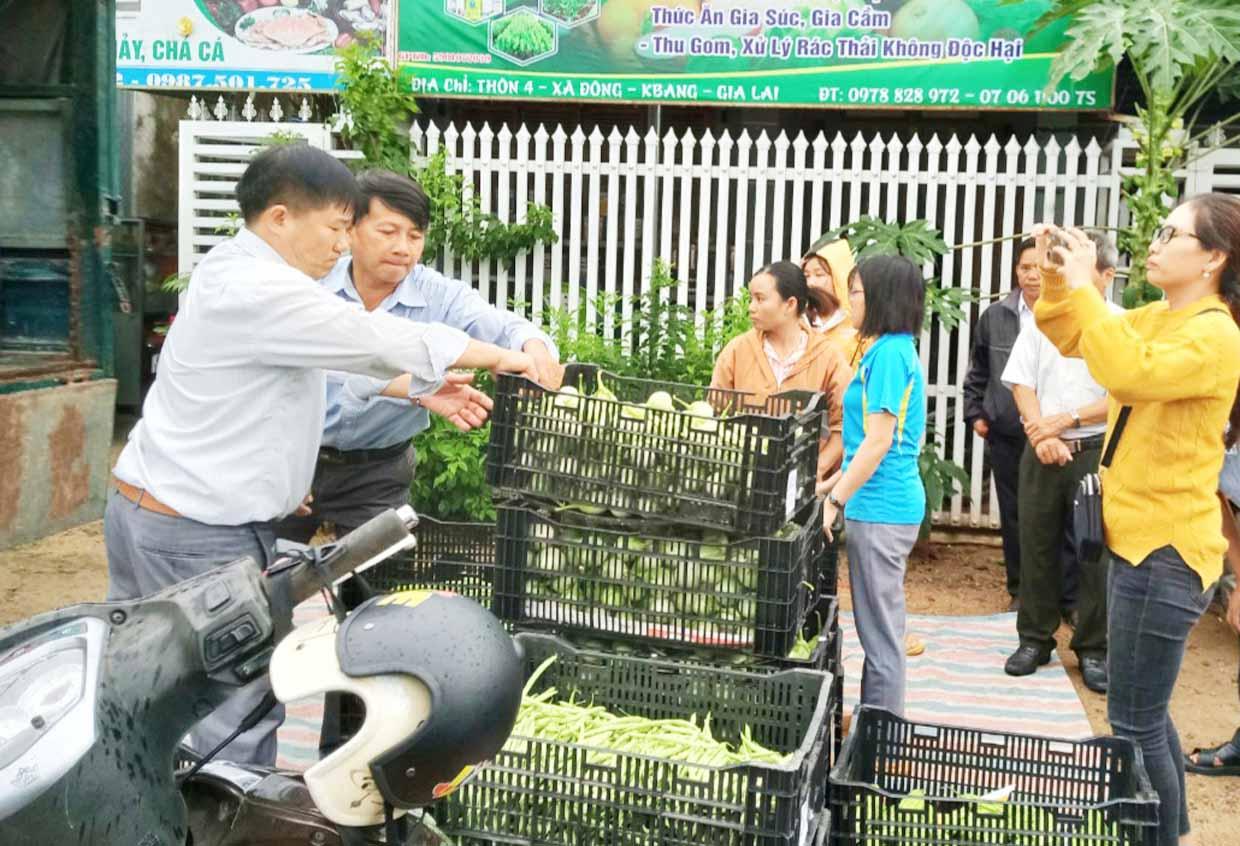 Hợp tác xã Nông nghiệp Đoàn Kết Kbang thu gom hàng của các thành viên để cung ứng cho đơn vị thu mua. Ảnh: Minh Phương