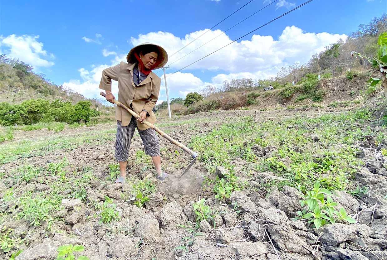 Bà Đinh Thị Blang (làng Tnùng 1, xã Ya Ma) cuốc xới mấy thửa ruộng chuẩn bị gieo sạ vụ mùa khi có mưa. Ảnh: Hồng Thi