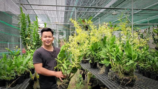 Nguyễn Duy Phong khởi nghiệp bằng cây lan. Ảnh: NVCC