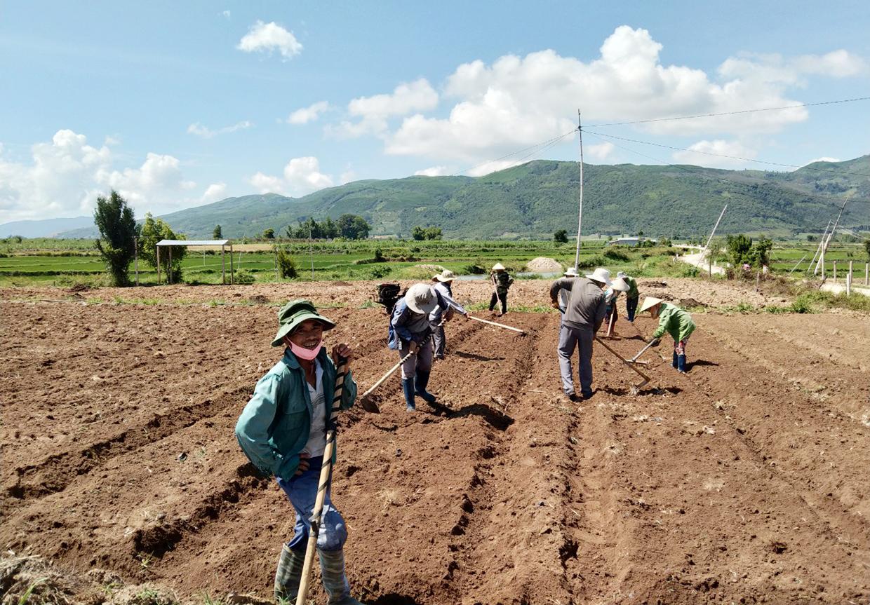 Lớp đào tạo trồng rau an toàn của xã Tân An (huyện Đak Pơ) hướng dẫn hội viên cải tạo đất. Ảnh: Nhật Hào