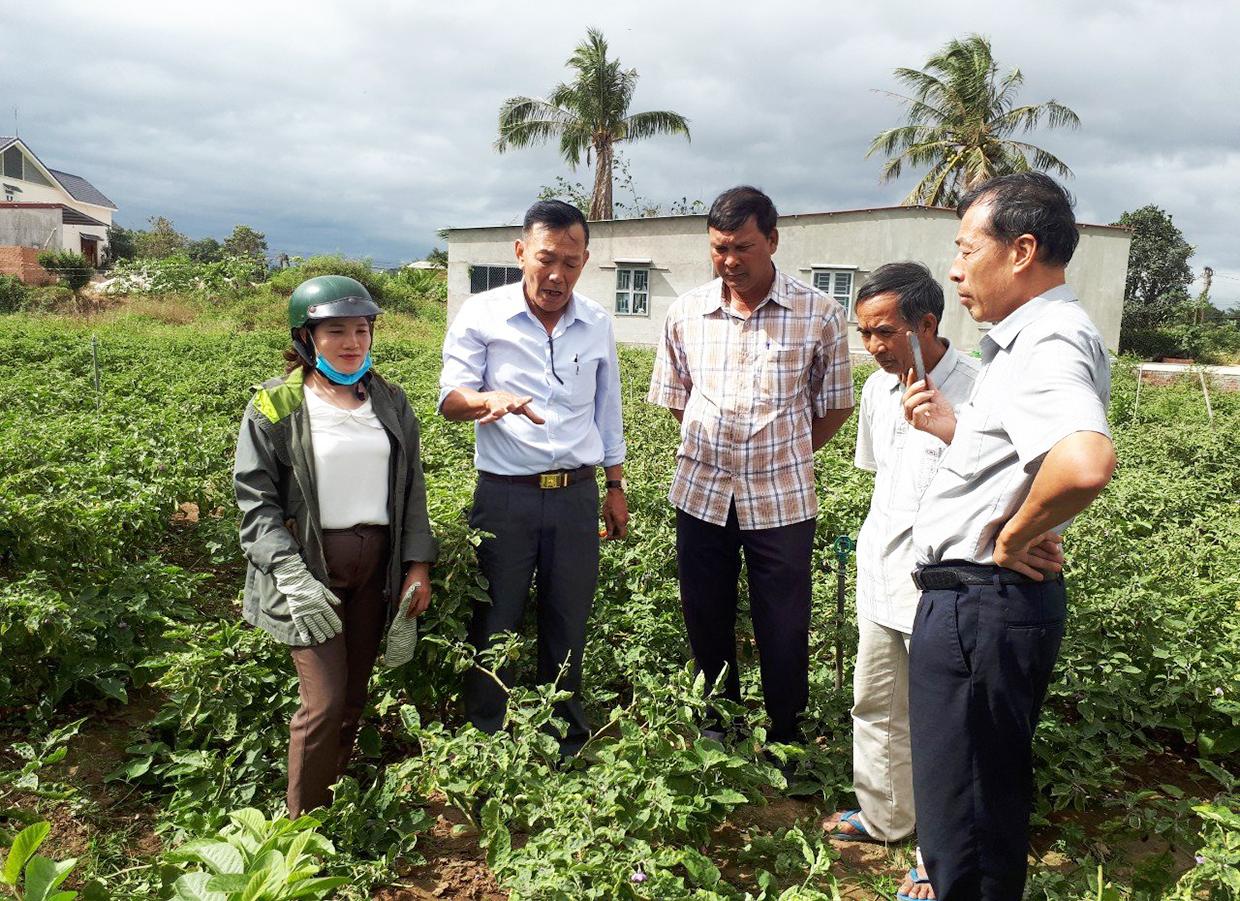 Hội Nông dân huyện Phú Thiện mời các chuyên gia hướng dẫn quy trình trồng, chăm sóc, phòng trị bệnh trên cây trồng cho người dân xã Ia Peng.  Ảnh: Nhật Hào