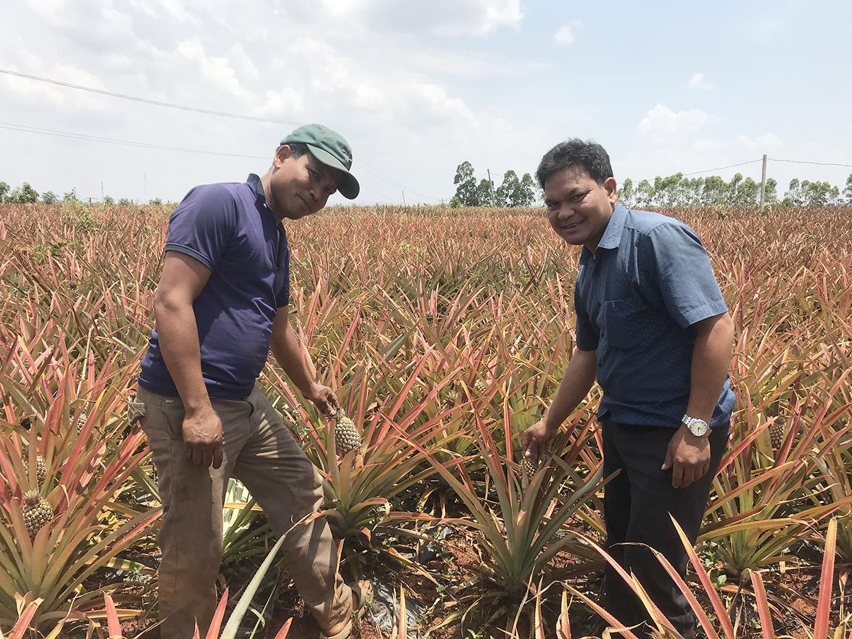 Ông Yich (bên trái) cùng cán bộ địa chính-nông nghiệp xã Lơ Pang) kiểm tra vườn dứa. Ảnh: Nguyễn Diệp