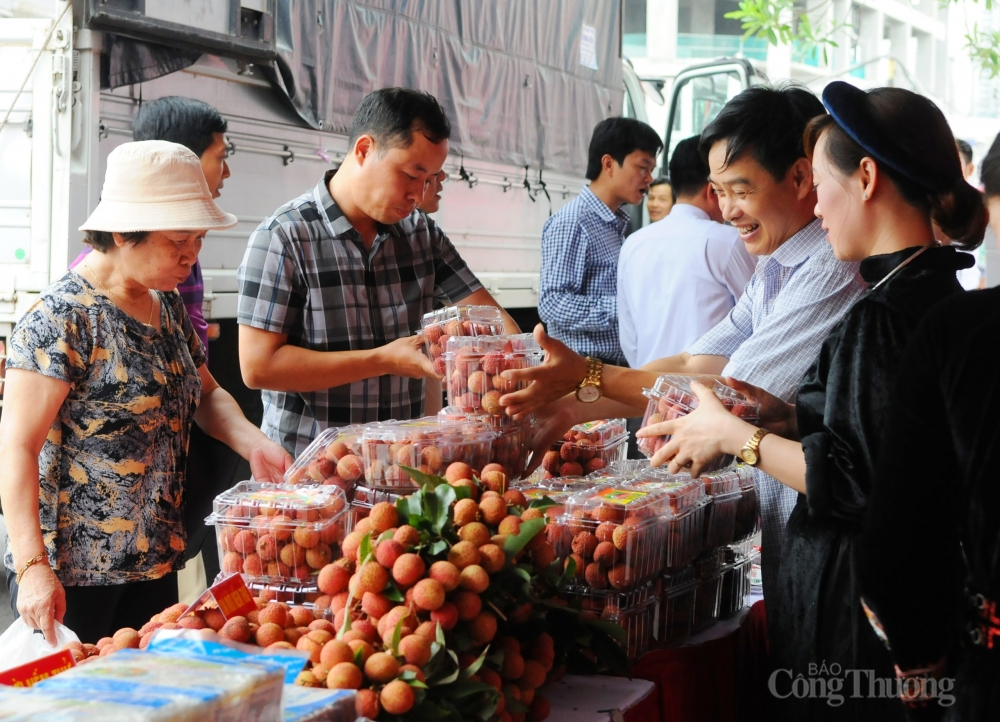 Rộn ràng mùa vải Lục Ngạn