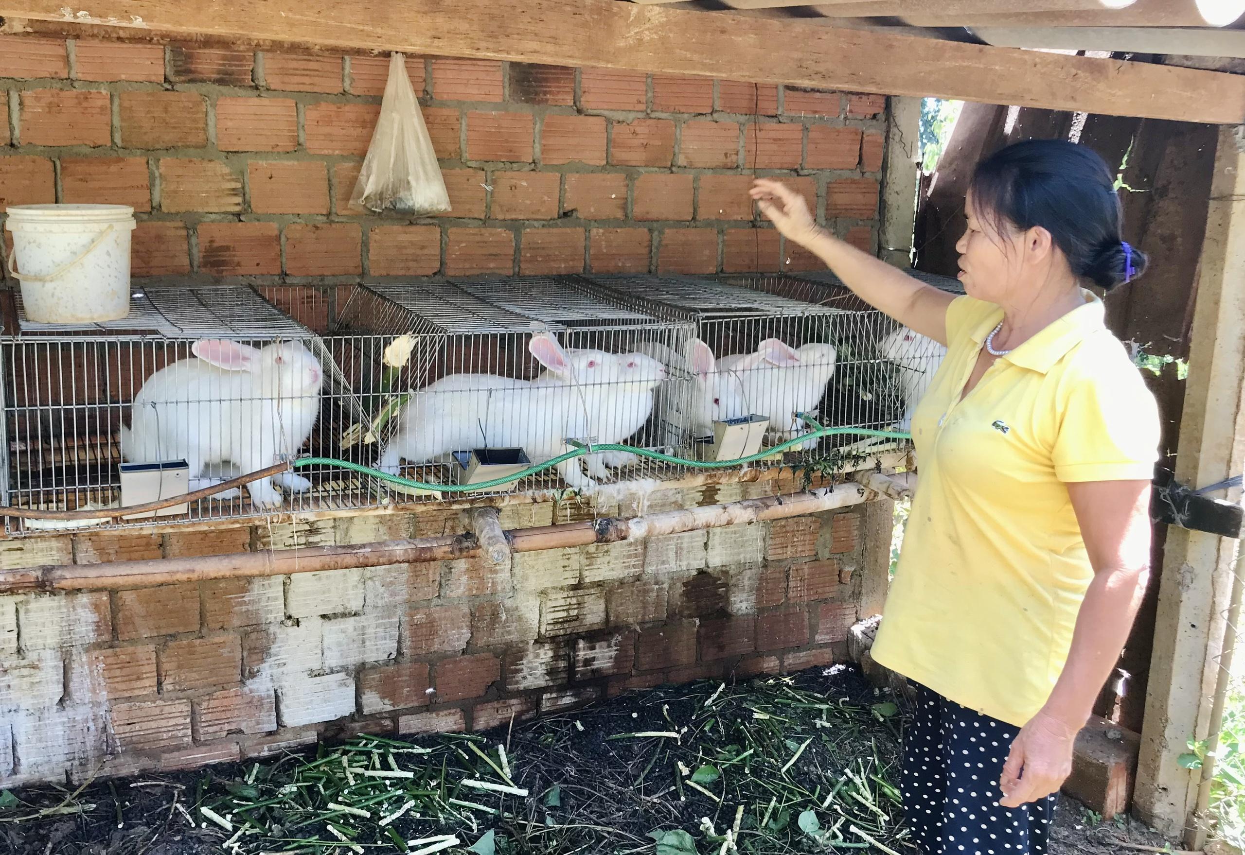 Bà Minh luôn vận động chị em trong thôn tích cực phát triển kinh tế. Ảnh Trần Dung. Ảnh: Trần Dung