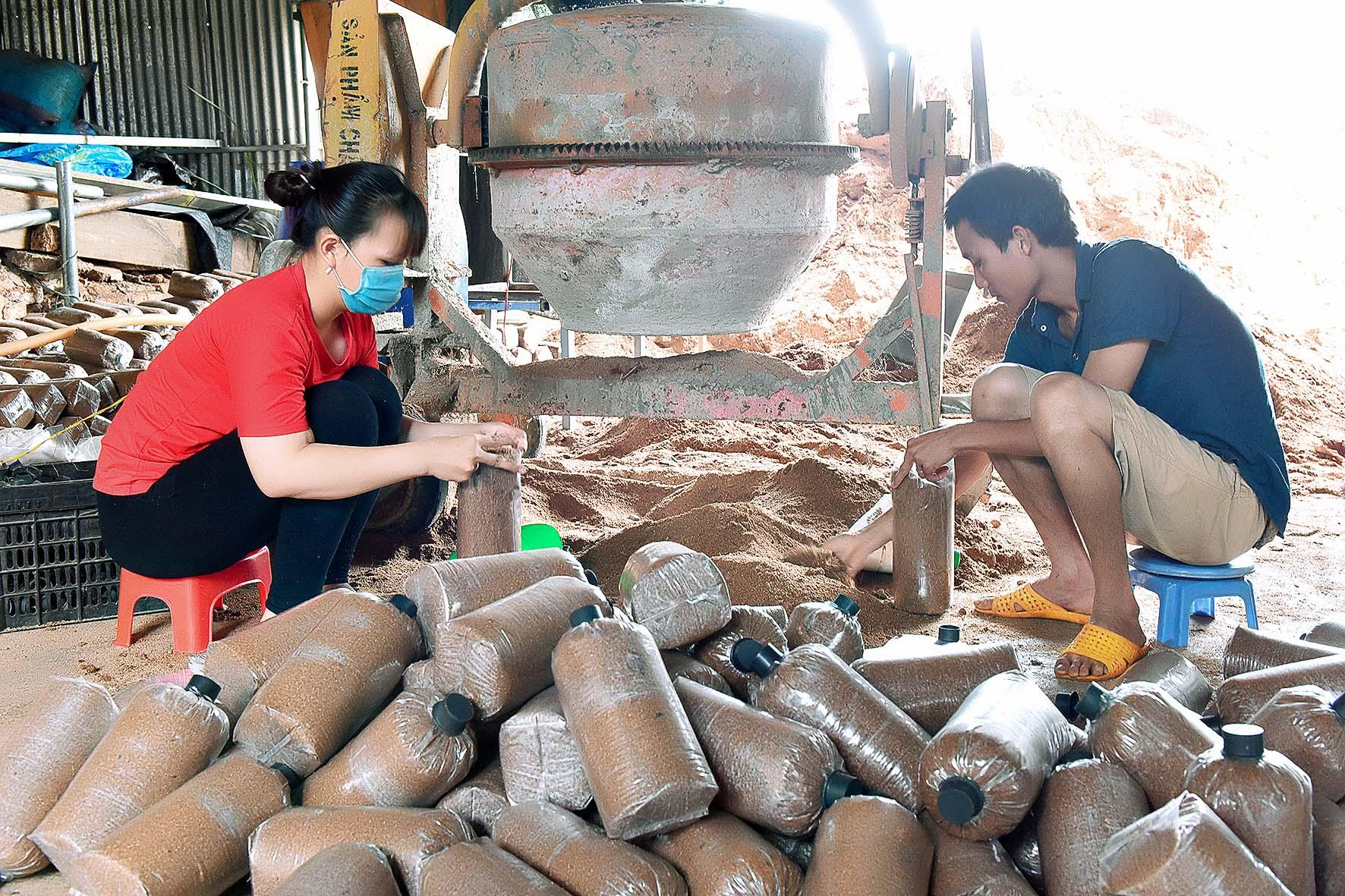 Tương tự mô hình khởi nghiệp từ trồng nấm của gia đình chị Trần Thị Trà Giang ở thôn 3 (xã Ia Nhin đã quyết tâm lập nghiệp trên chính trên diện tích của gia đình mình.