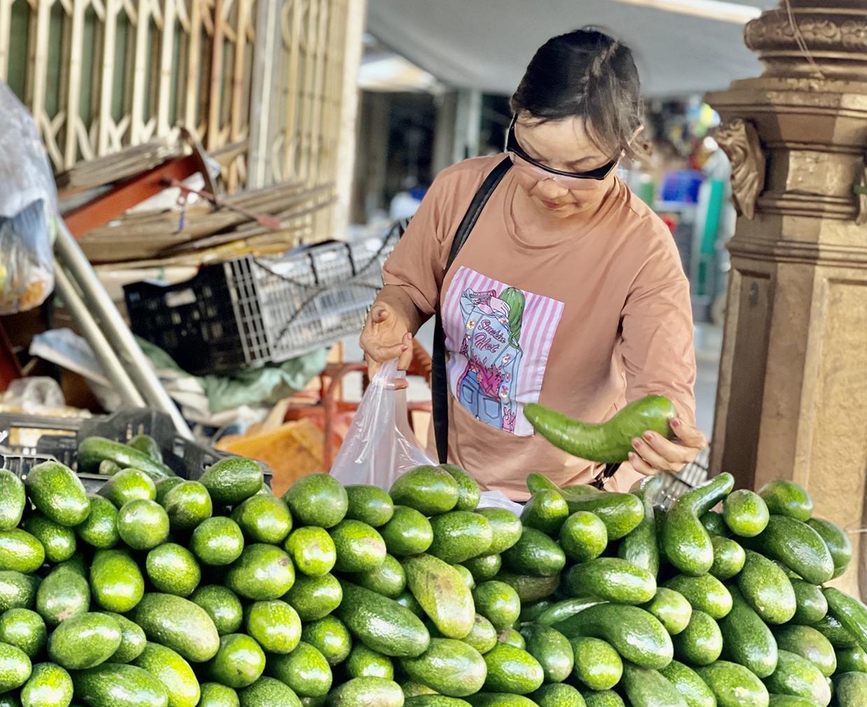 Giá bơ giảm mạnh khiến nhiều nhà vườn thất thu. Ảnh: Vũ Thảo