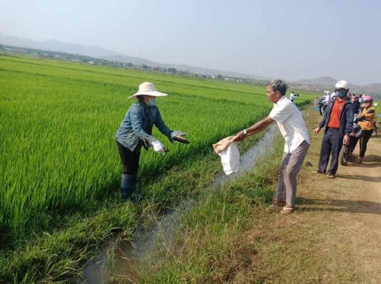 Hội Nông dân huyện Phú Thiện tổ chức lễ ra quân dọn vệ sinh môi trường đồng ruộng. Ảnh_ H.S